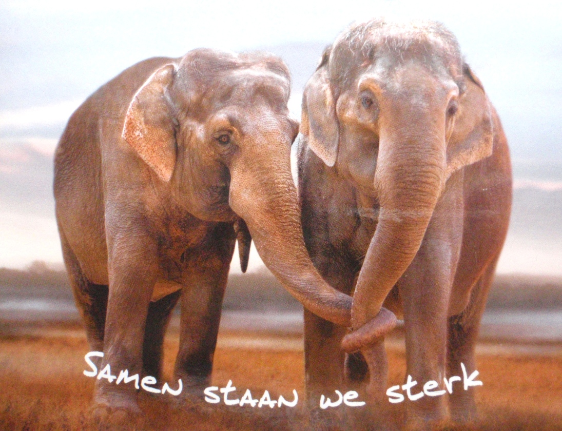 Samen staan we sterk